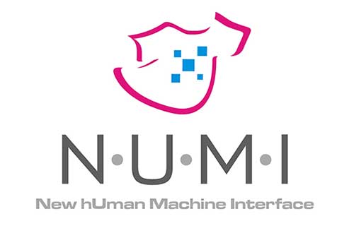 Numip